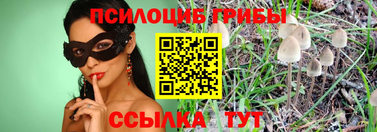 Псилоцибиновые грибы Magic Shrooms  Галлюциногенные грибы Psilocybe  Усолье-Сибирское  Вход с VPN 